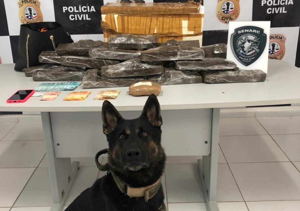 Mulher é presa com 48kg de maconha em Itapecuru-mirim