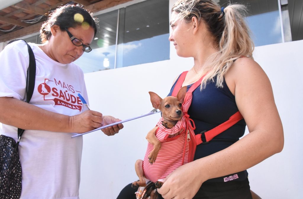 Governo do Maranhão retoma Programa Mais Saúde Animal