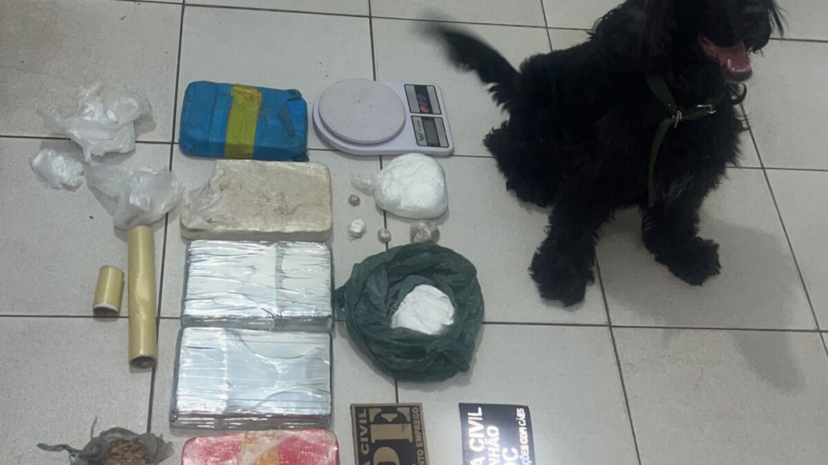 Operação Canis Lupus Familiaris apreende cerca de 5kg de crack em Codó